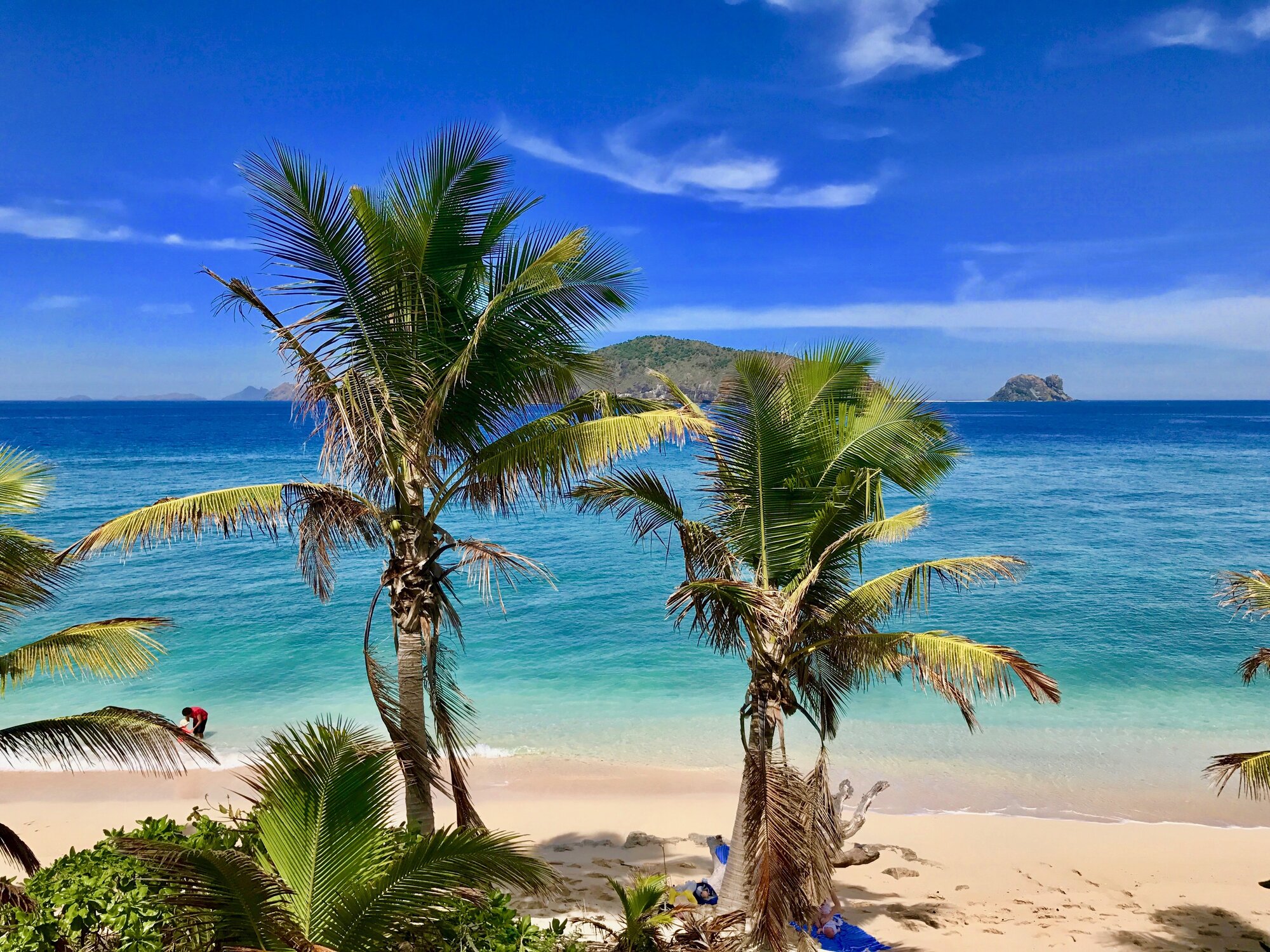 Palm-framed view of Eori beach and turquoise water